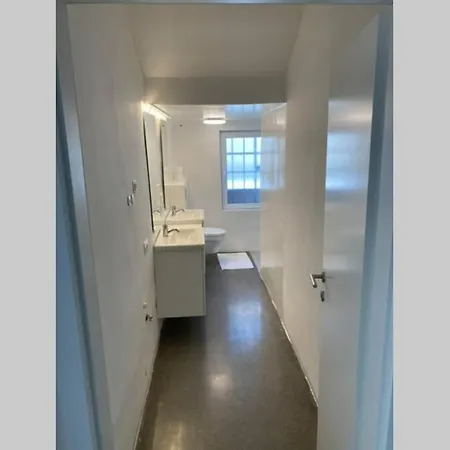Huge BBQ Garden, Spacious Flat, AC, Free Parking 1 Laibach Exterior foto