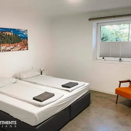 Huge BBQ Garden, Spacious Flat, AC, Free Parking 1 Laibach Exterior foto