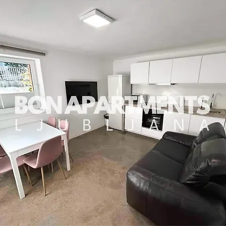 Huge BBQ Garden, Spacious Flat, AC, Free Parking 1 Laibach Exterior foto