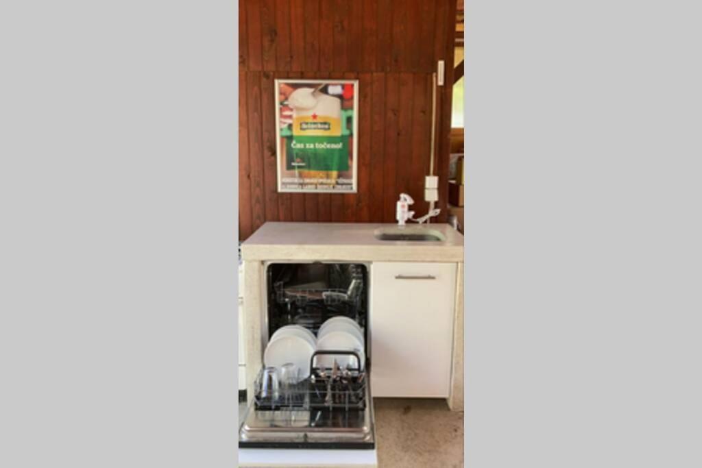 Huge Bbq Garden, Spacious Flat, Ac, Free Parking 1 Apartment Laibach