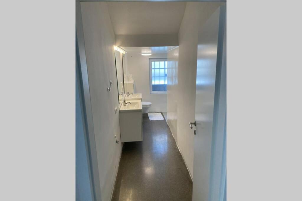 Huge Bbq Garden 1, Basement App Two Bathrooms, Ac, Free Parking Ljubljana