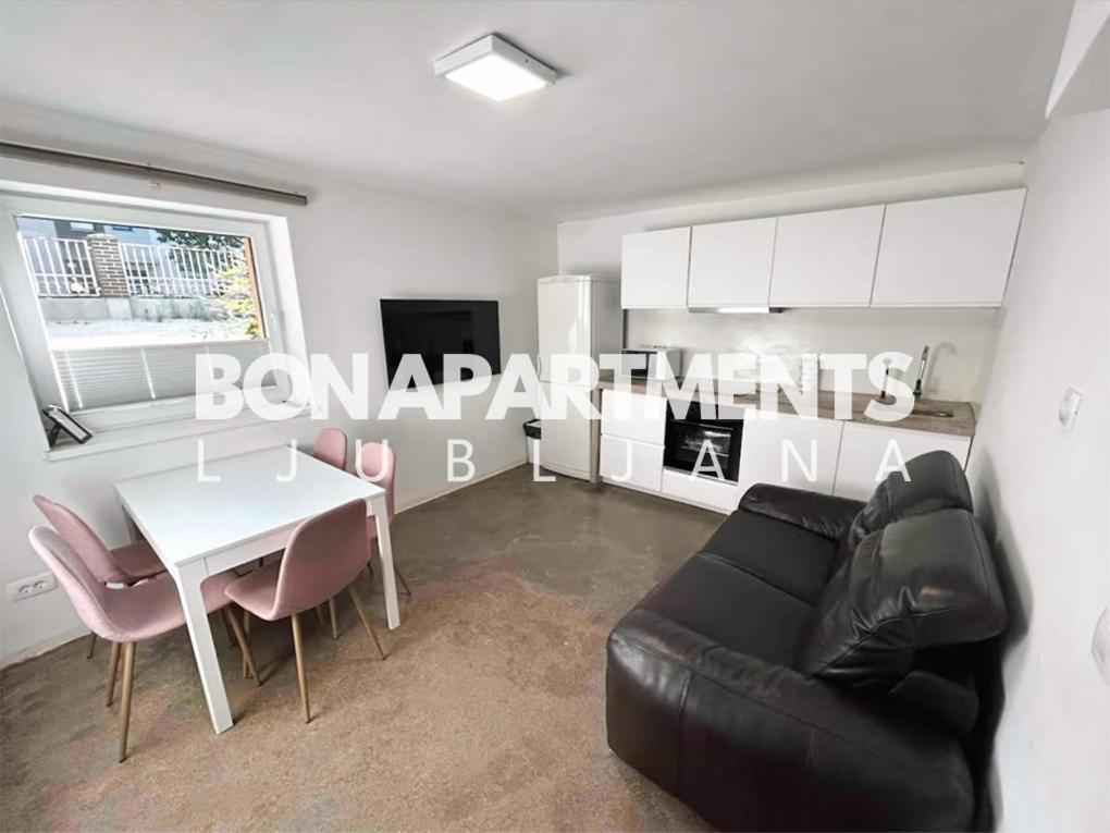 Huge Bbq Garden, Spacious Flat, Ac, Free Parking 1 Laibach